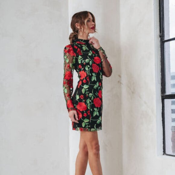 VICI NWT - Alice Embroidered Floral Mesh Mini Dress - L - Picture 1 of 3